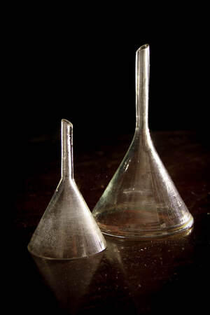 Picture of two funnels for learning (one in each ear?)